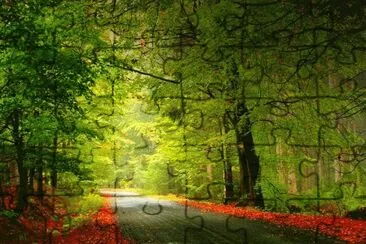 paseo por el bosque jigsaw puzzle