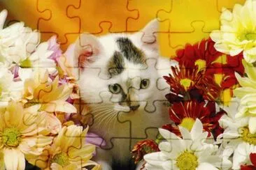 gatet jigsaw puzzle