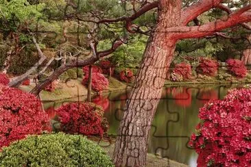 sol del desierto jigsaw puzzle