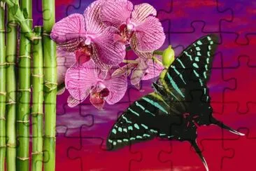 zjrvss jigsaw puzzle
