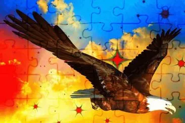z v5e3a  DF jigsaw puzzle