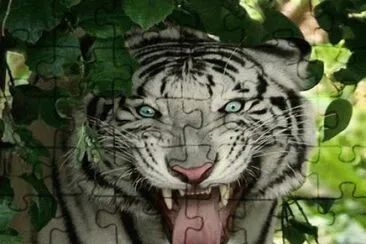 . jigsaw puzzle