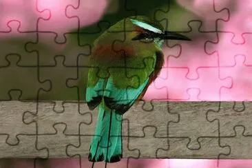. jigsaw puzzle