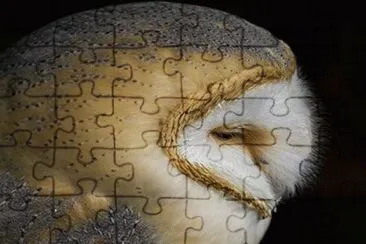 . jigsaw puzzle