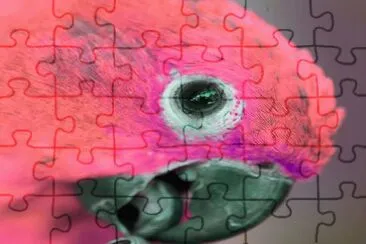 . jigsaw puzzle