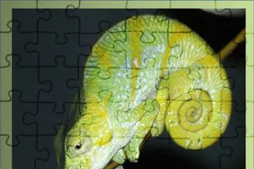 CamaleÃ³n Parson - MadagÃ¡scar jigsaw puzzle