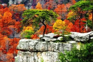 fall in mountains