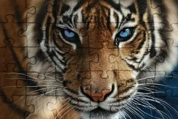 Tigre