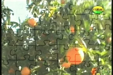 NARANJAS jigsaw puzzle
