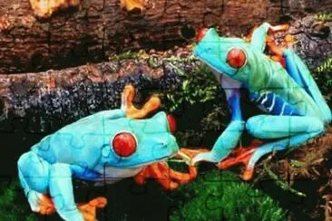 Ranas Venenosas - MadagÃ¡scar jigsaw puzzle