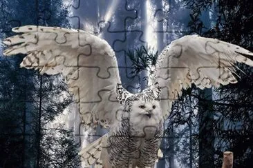 BÃºho Nival2 jigsaw puzzle