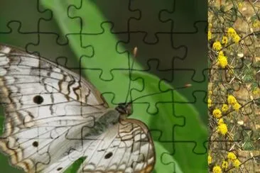 Cenicienta - NO Argentino jigsaw puzzle