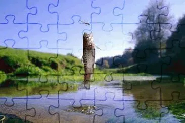 VORACIDAD EN MOVIMIENTO jigsaw puzzle