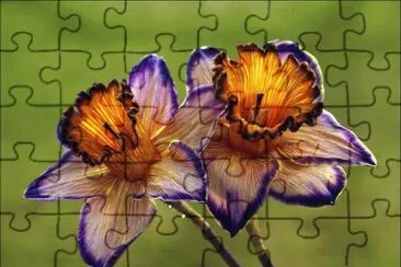 thoughts of spring jigsaw puzzle