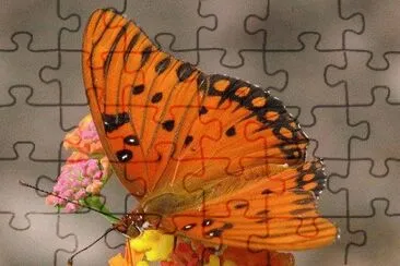 inspiring scene jigsaw puzzle