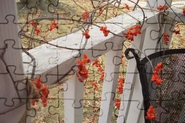 bittersweet vine jigsaw puzzle