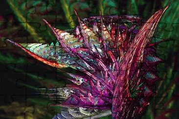 dragon