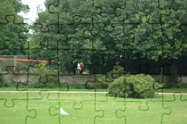 ave jigsaw puzzle