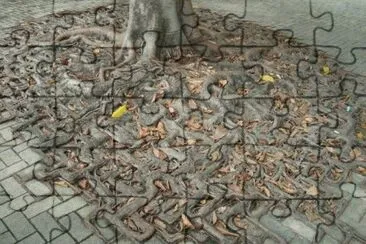 Life will find a way