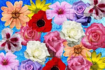 ihoatmec jigsaw puzzle