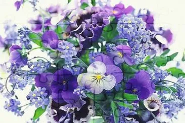 flores