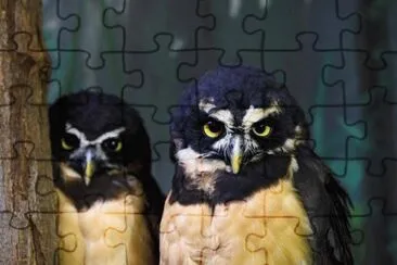 . jigsaw puzzle