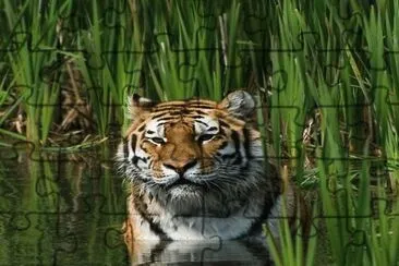 . jigsaw puzzle
