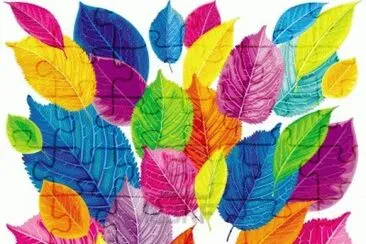 foto jigsaw puzzle