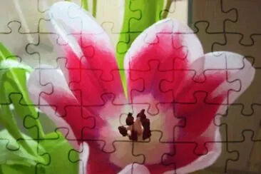 uzr64bd jigsaw puzzle