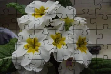 flores jigsaw puzzle