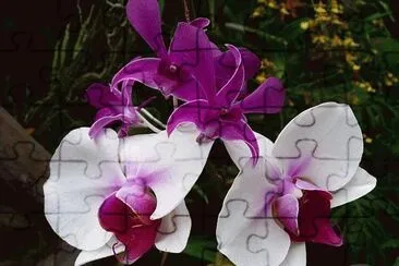 flores jigsaw puzzle