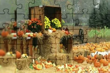 pumpkins for sale jigsaw puzzle