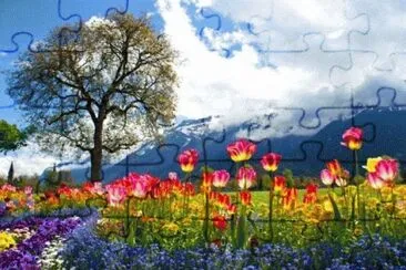 image jigsaw puzzle