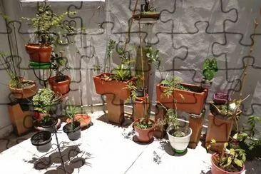 patio interior jigsaw puzzle