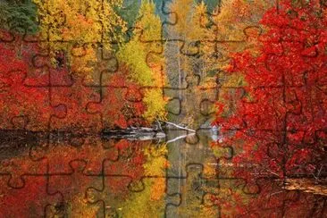 reflections