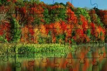 mirror image