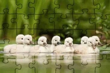 Patricia jigsaw puzzle