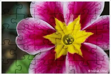 foto jigsaw puzzle