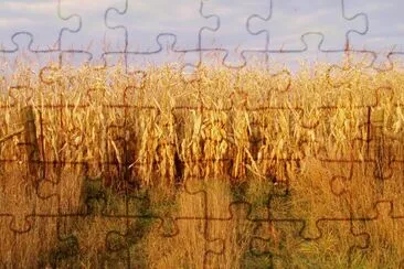 ready for the thresher jigsaw puzzle
