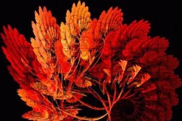 fall fractal