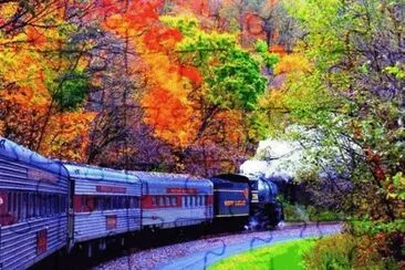 scenic trip jigsaw puzzle