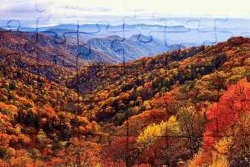 fall in the Smokies NC