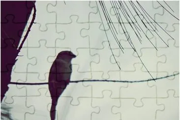 Helyssa jigsaw puzzle