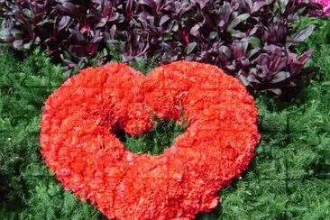 corazÃ³n de claveles jigsaw puzzle