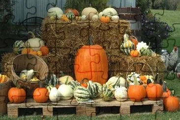 farm display