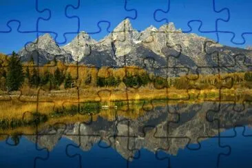 aspen autumn jigsaw puzzle