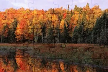 fall walk jigsaw puzzle