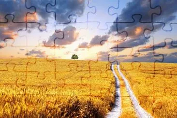 harvest wheat jigsaw puzzle