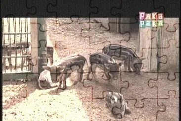 CERDITOS jigsaw puzzle
