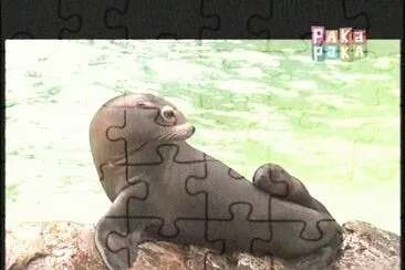 LOBOS MARINOS jigsaw puzzle